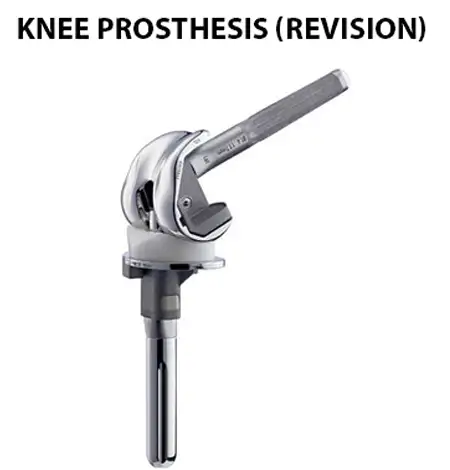 knee prosthesis revision